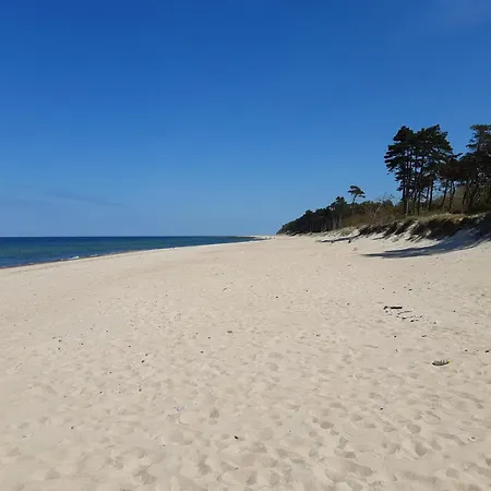 Dom Bursztyn * ريوزينو